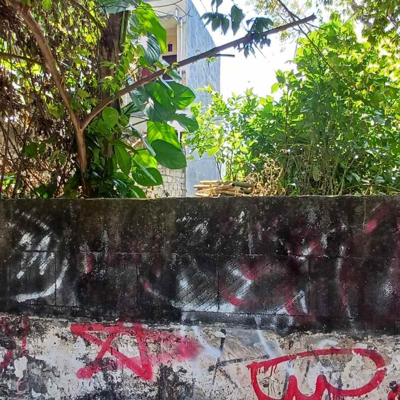 dijual tanah sesetan