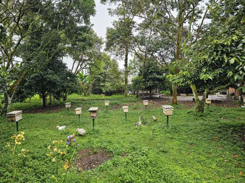 dijual tanah tamansari bogor