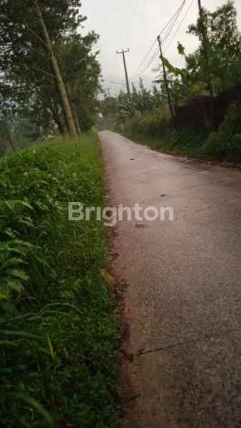 dijual tanah tugu selatan puncak kab bogor