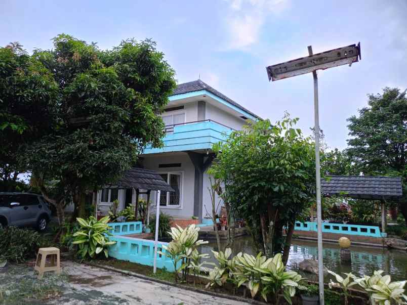 dijual villa villa pak awang cigombong