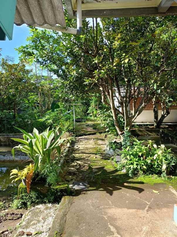 dijual villa villa pak awang cigombong