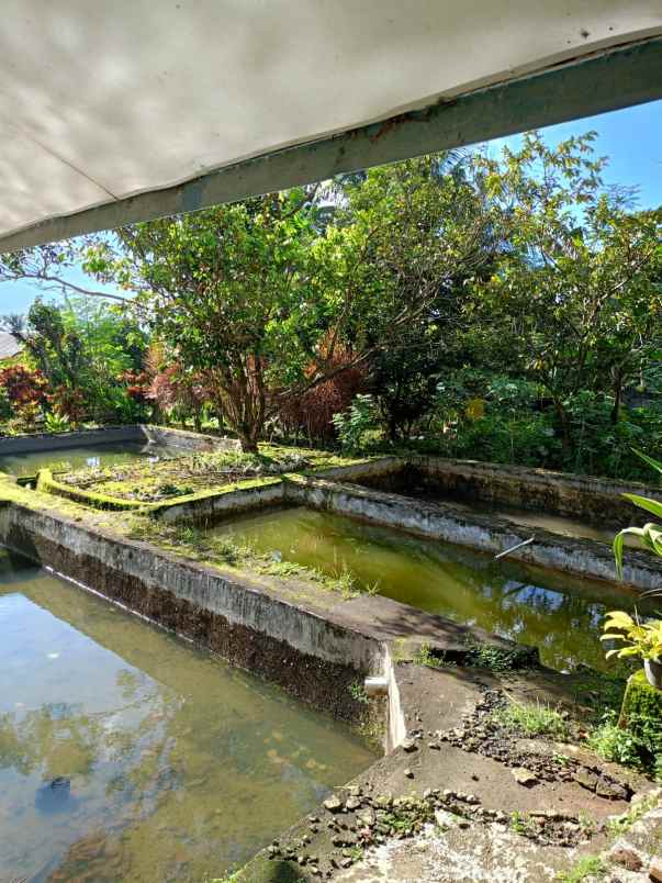 dijual villa villa pak awang cigombong