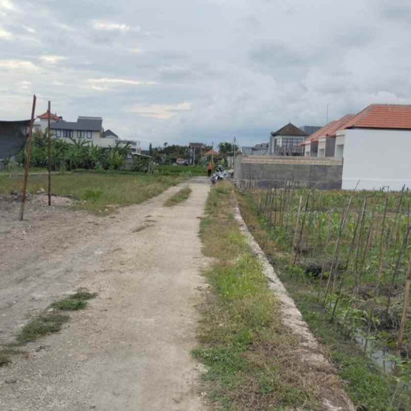 disewakan tanah kedampang