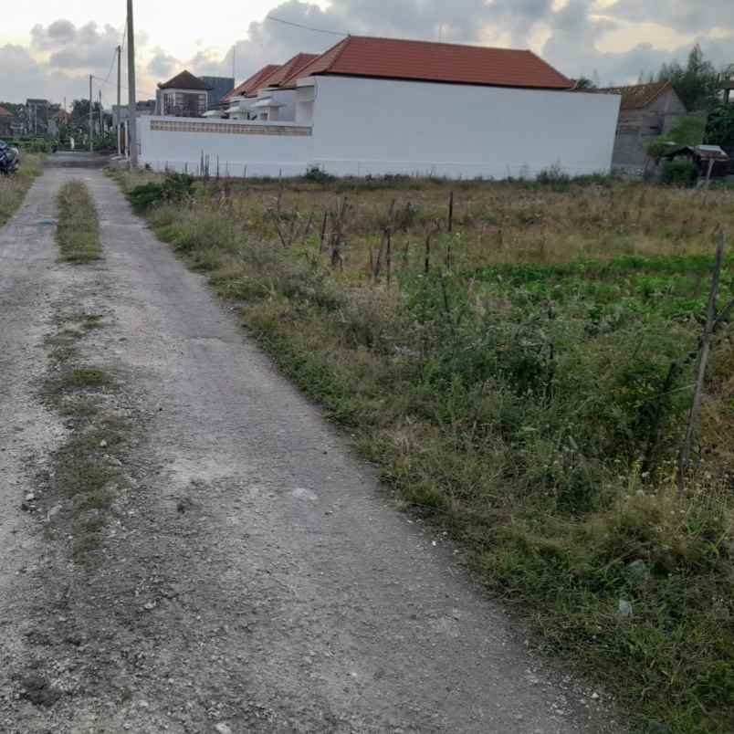 disewakan tanah kedampang