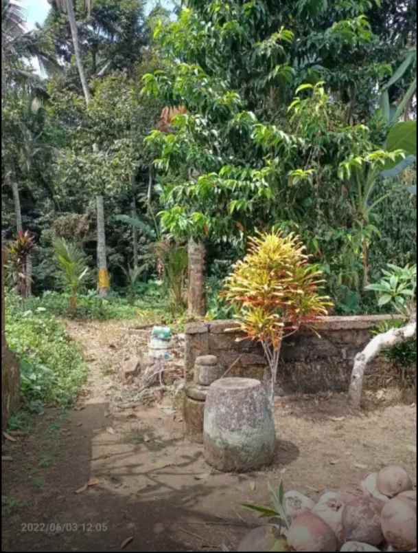 disewakan tanah kelabang moding ubud bali