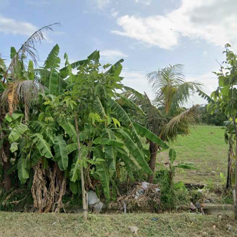 disewakan tanah kesiman petilan