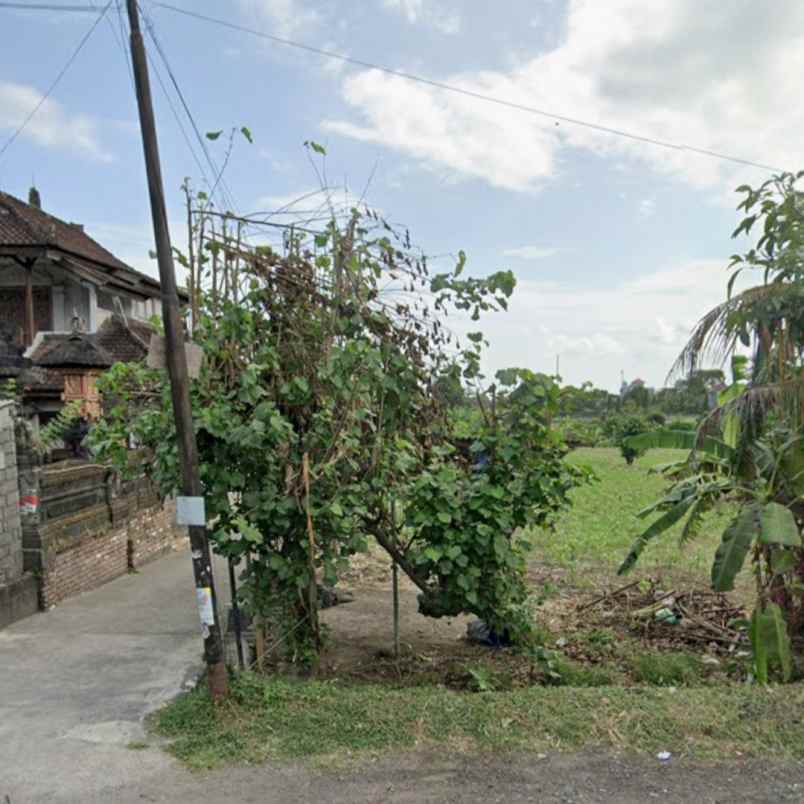 disewakan tanah kesiman petilan