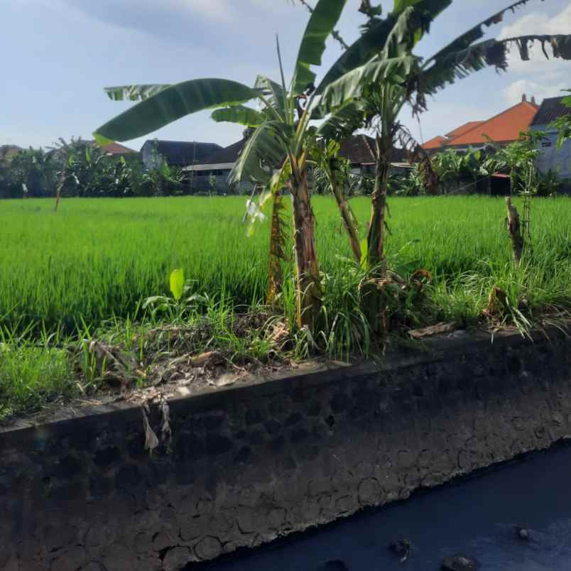 disewakan tanah tukad bilok