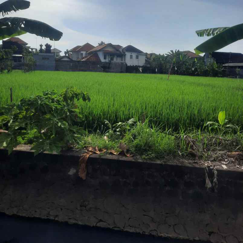 disewakan tanah tukad bilok