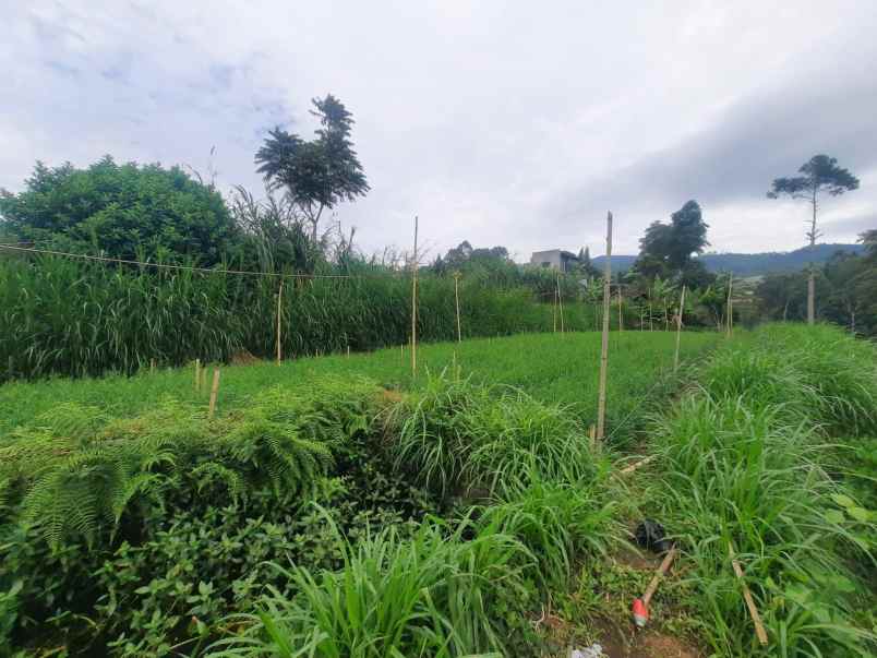 jual tanah di jalan sukadami lembang