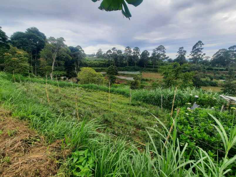 jual tanah di jalan sukadami lembang