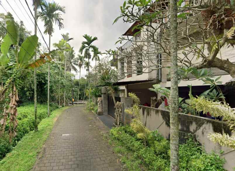 jual tanah view di mas ubud bali