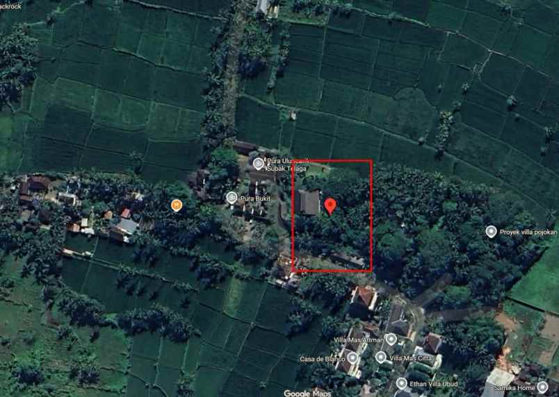 jual tanah view di mas ubud bali