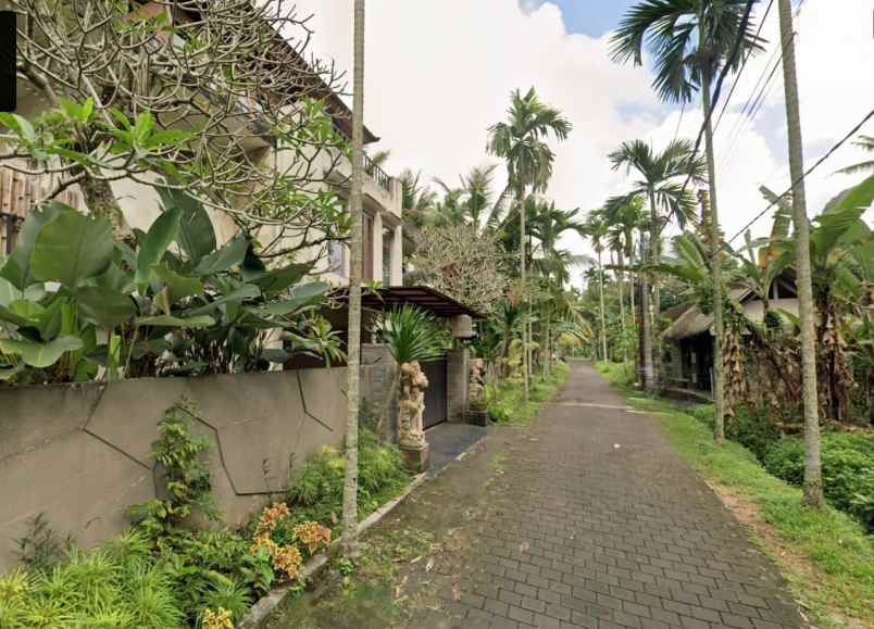 jual tanah view di mas ubud bali