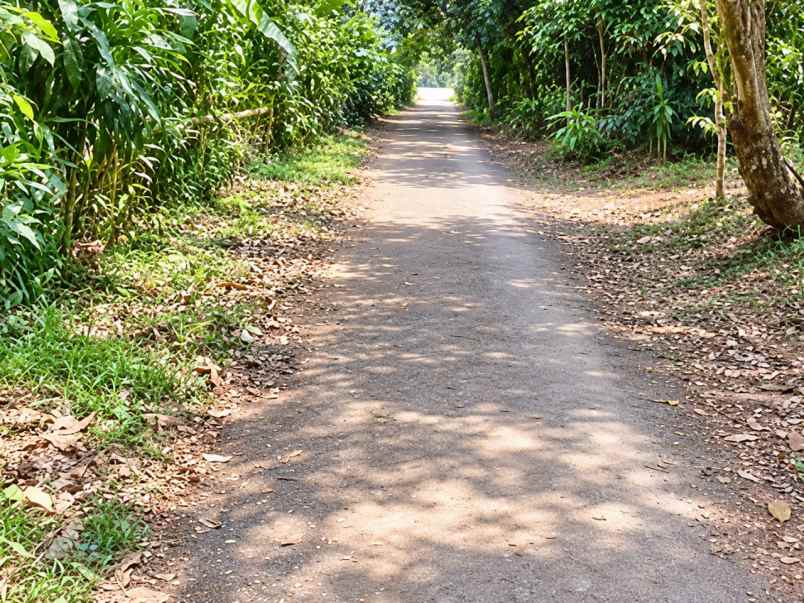 kebun durian produktif di bojong pandeglang banten