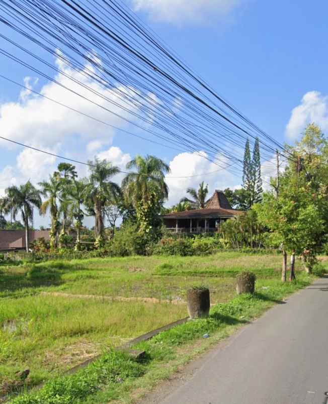 land for leasehold in main road tirta tawar ubud bali