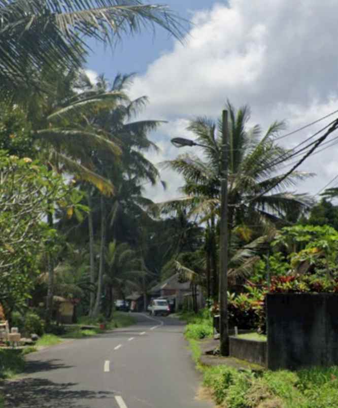 land for leasehold in main road tirta tawar ubud bali