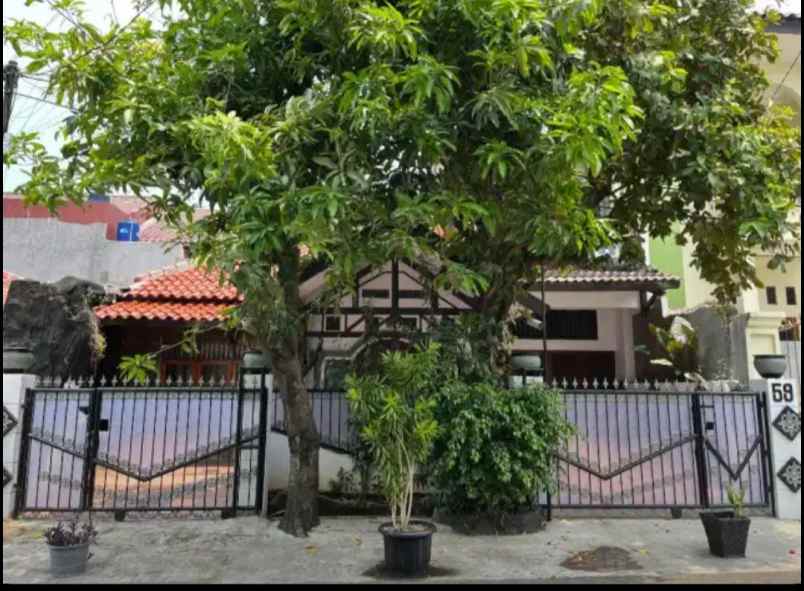 rumah baru weew bebas banjir di rawamangun