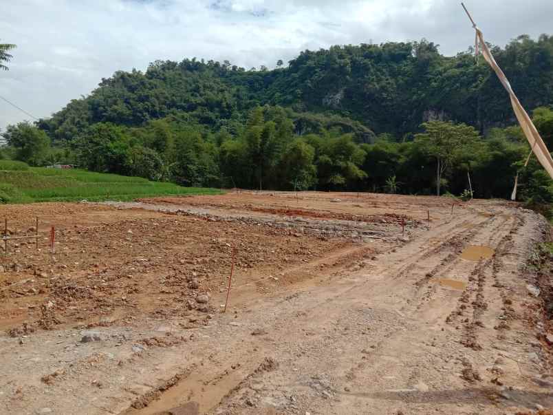 rumah desa wargaluyu kec