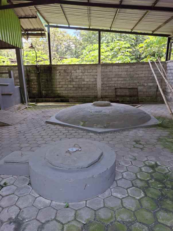 rumah produksi pengolahan susu sapi