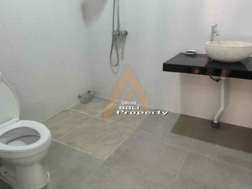 rumah view sawah di celuk sukawati