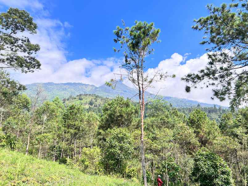 tanah 4 hektar siap bangun wahana wisata karanganyar