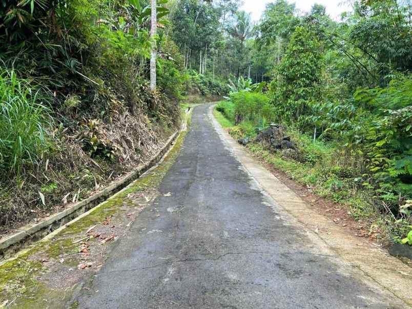 tanah 7600m2 dekat sungai karangpandan karanganyar