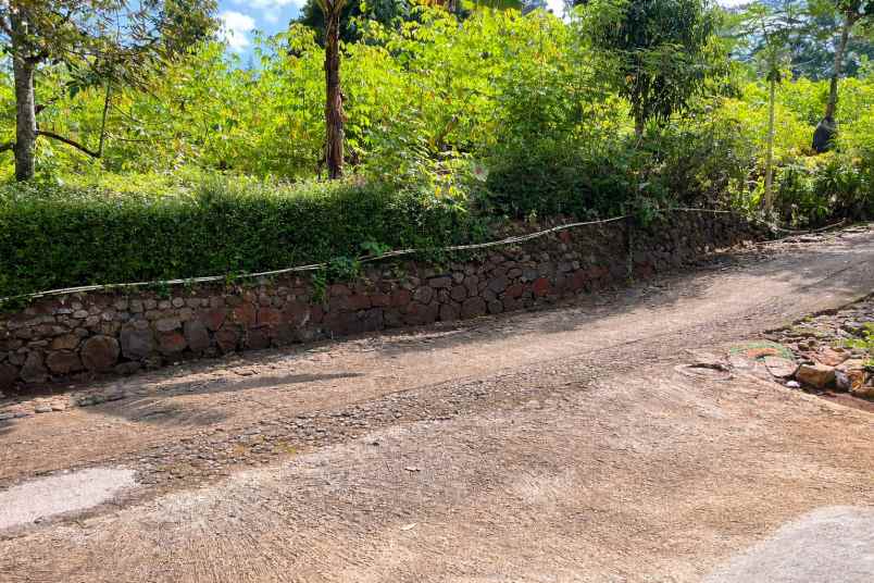 tanah 800m cocok untuk rumah tinggal karanganyar