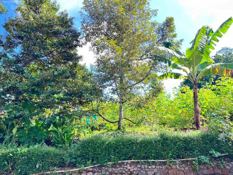 tanah 800m cocok untuk rumah tinggal karanganyar