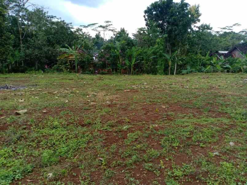 tanah barat pasar plangsalam