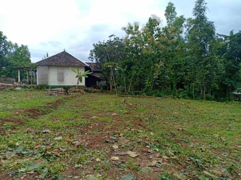 tanah barat pasar plangsalam