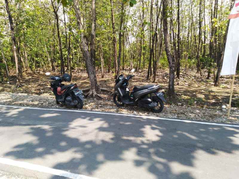 tanah bonus jati di sukoharjo