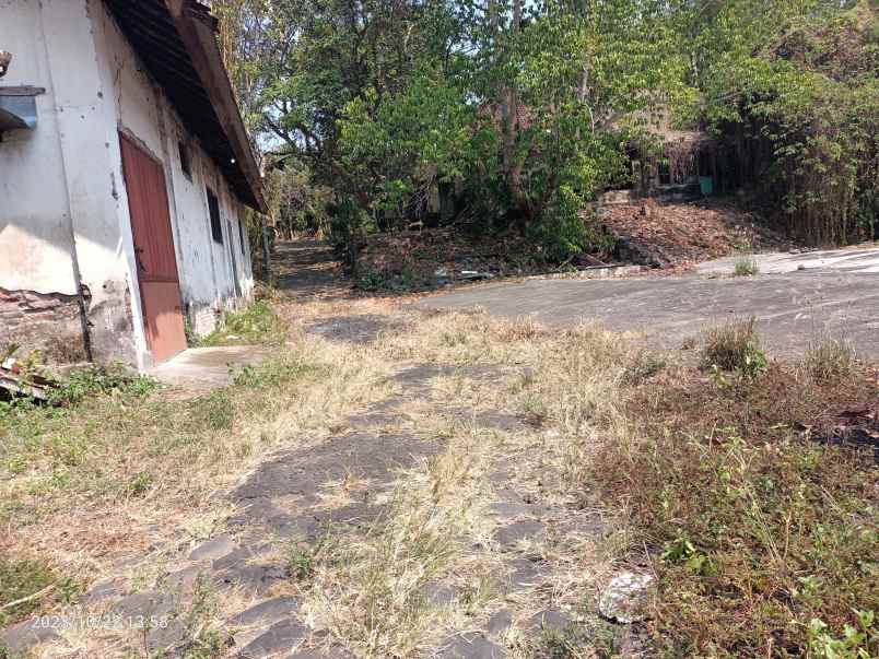 tanah cocok untuk gudang 25 menit dari denpasar bali