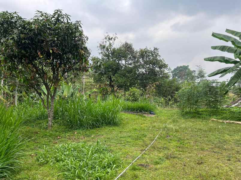 tanah dijual kemuning karanganyar 500m
