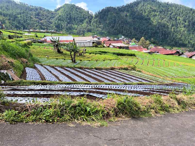 tanah idaman cocok untuk villa wisata tawangmangu