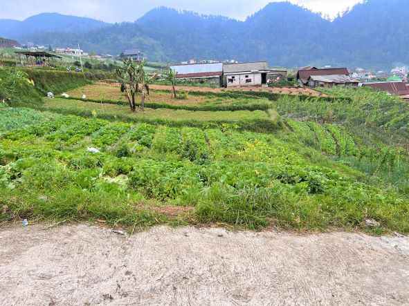 tanah idaman cocok untuk villa wisata tawangmangu