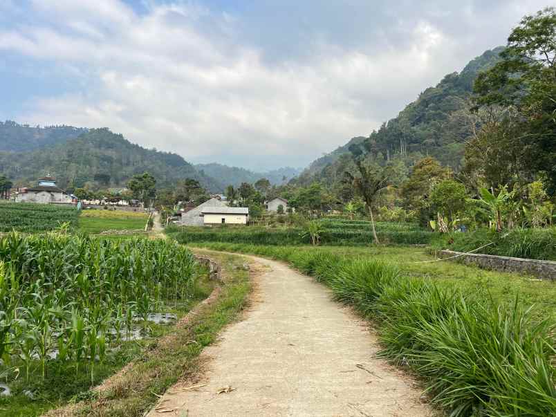 tanah investasi 3280m jenawi karanganyar