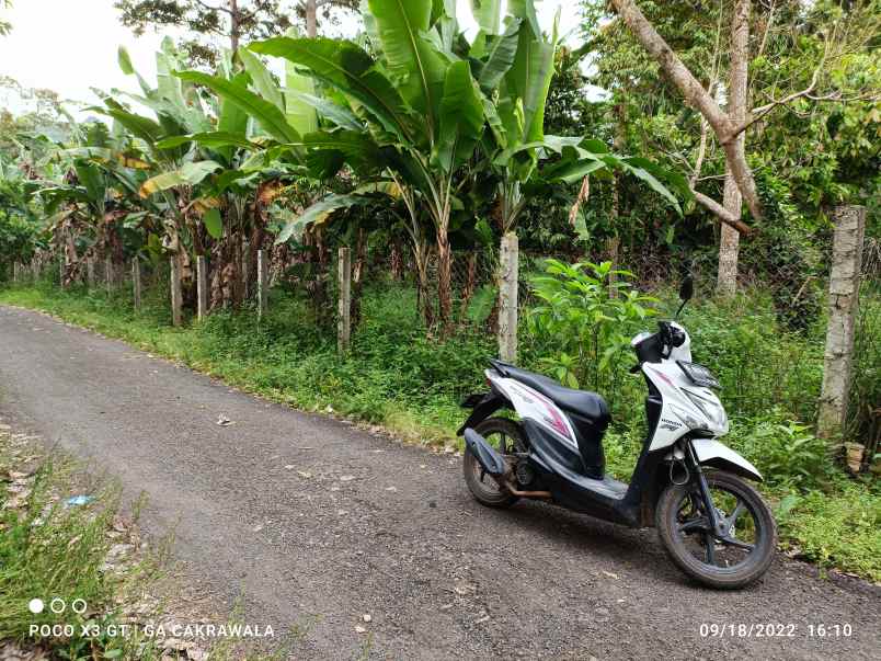 tanah jalan pampangan tj gedung
