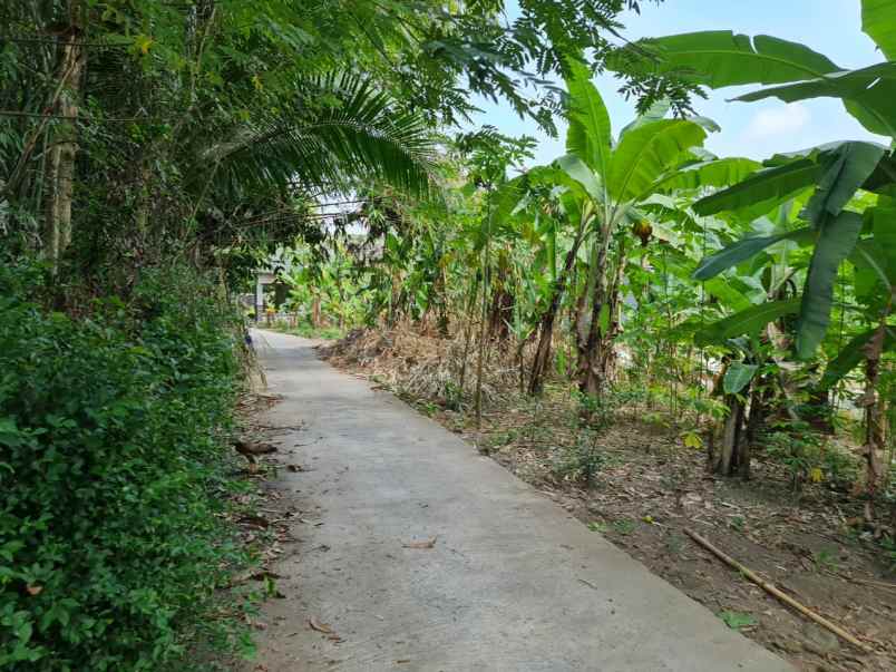 tanah jl imogiri timur