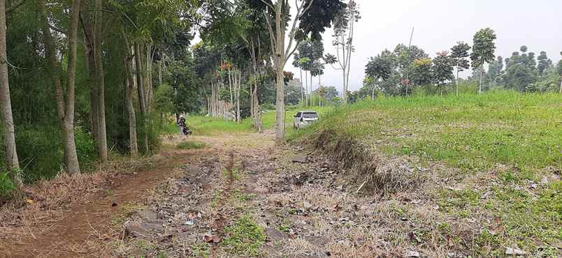 tanah jlan dago giri