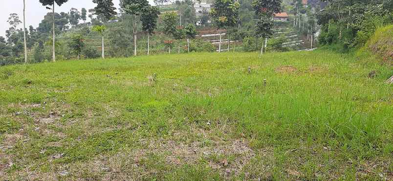 tanah jlan dago giri