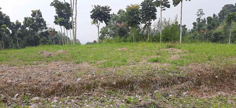 tanah jlan dago giri