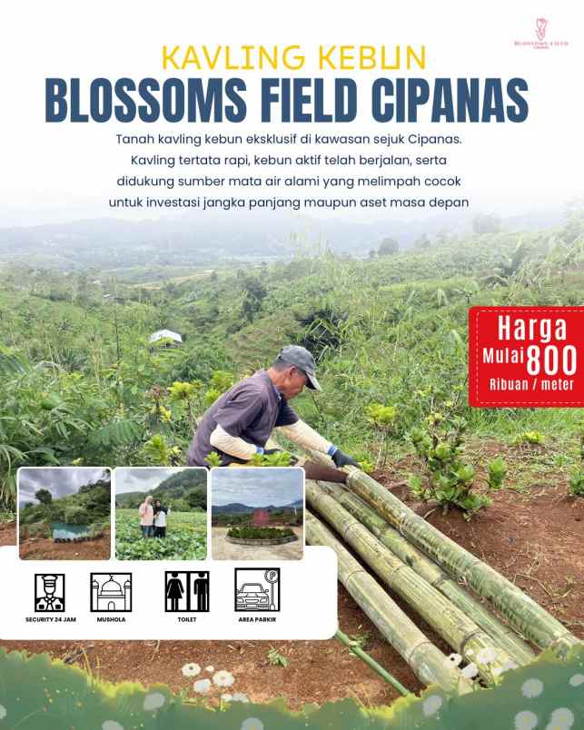 tanah kavling kebun di sukaresmi cianjur