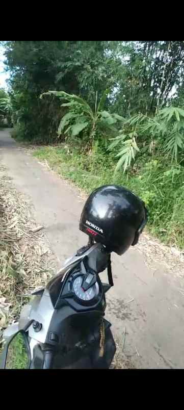 tanah kebun rata pinggir jln desa