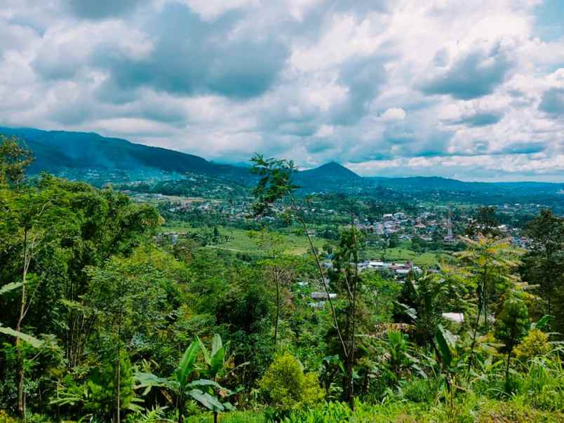 tanah kemuning ngargoyoso