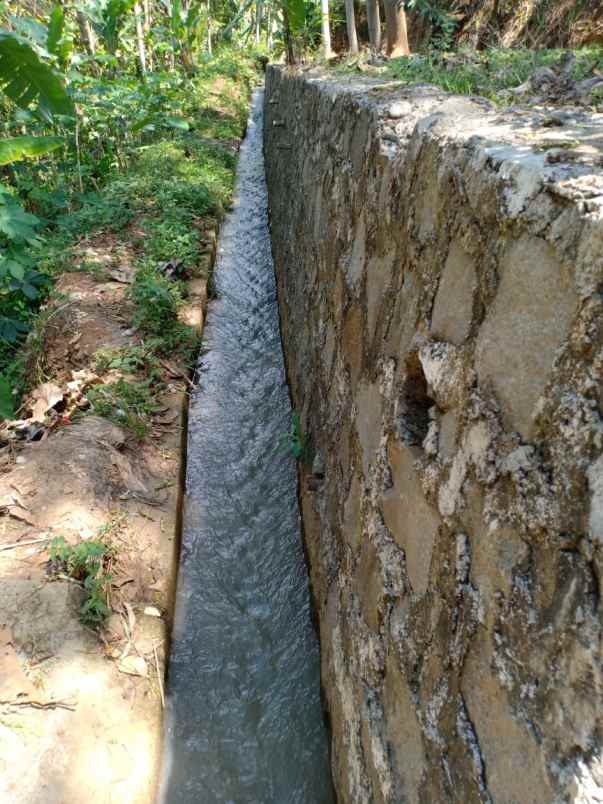 tanah kerjo karanganyar