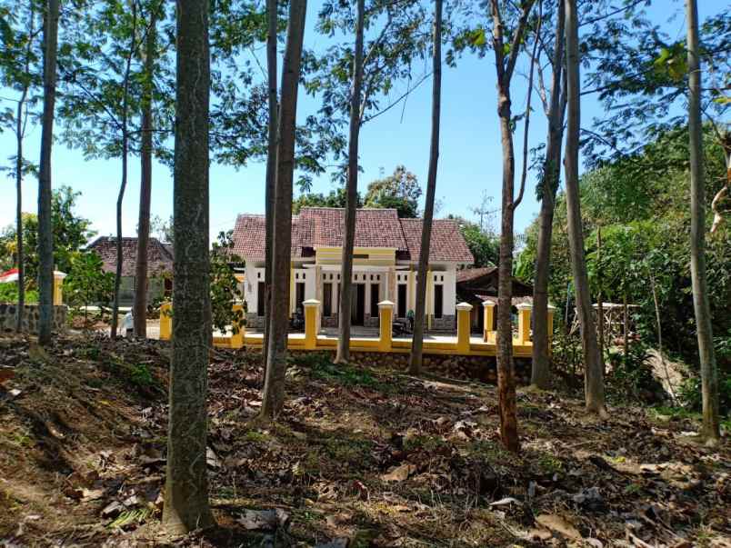 tanah kerjo karanganyar