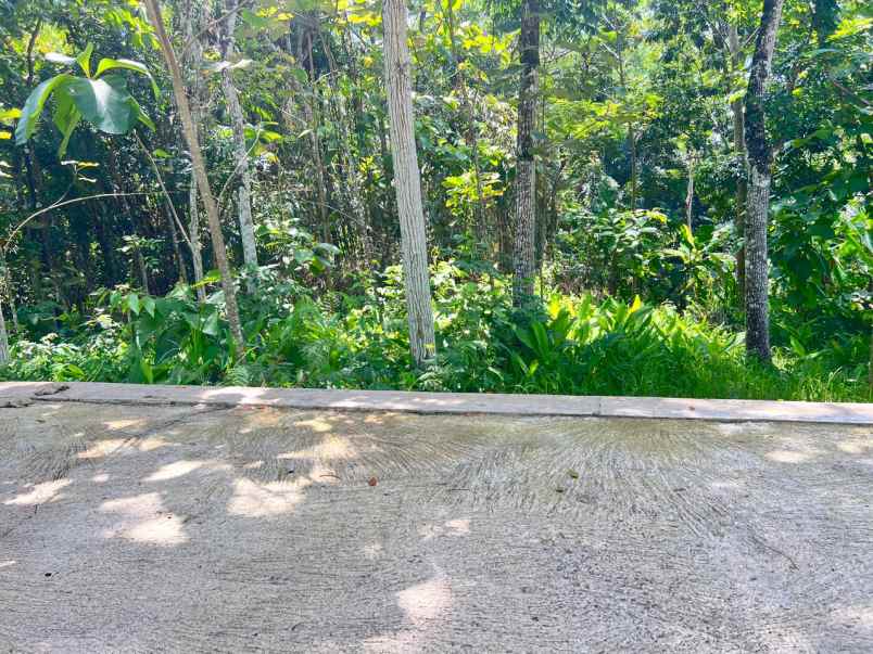 tanah mojogedang karanganyar 1200m datar siap bangun