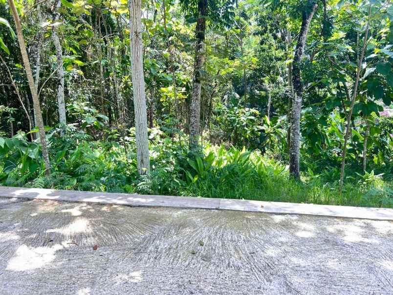 tanah mojogedang karanganyar 1200m datar siap bangun