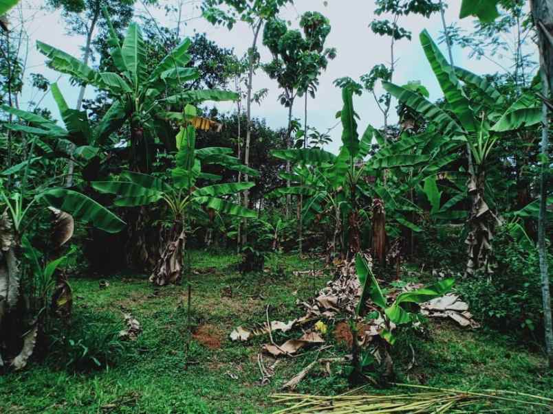 tanah mojogedang karanganyar